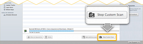 To interrupt the custom scan, click Stop Custom Scan.